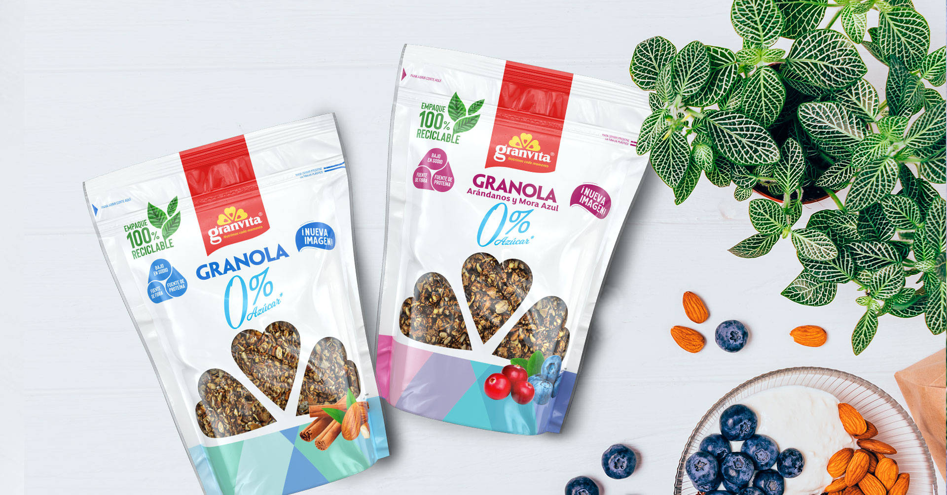 Conoce los beneficios de las Granolas Granvita para tu salud